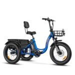 Read more about the article Discover the Top Electric Tricycle Models for an Exceptional Commuting Experience